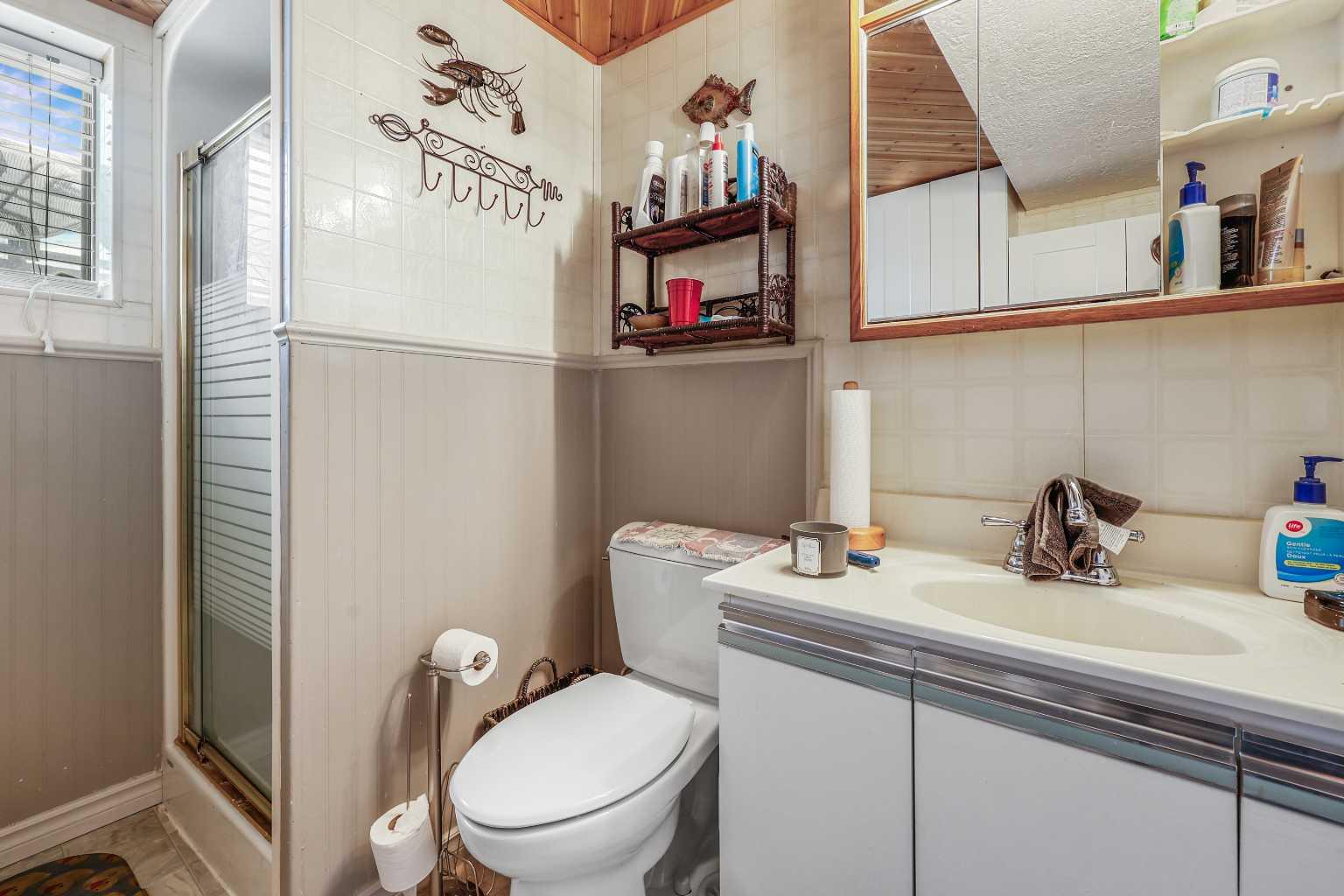 Basement Bathroom — before